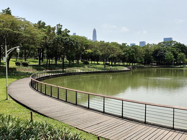 深圳最值得去的6个公园推荐！全部免费，地铁直达，好玩又好拍！