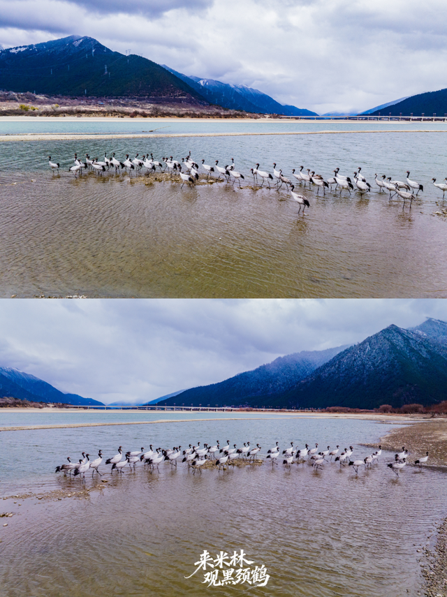 这个冬天，一定要来西藏看……