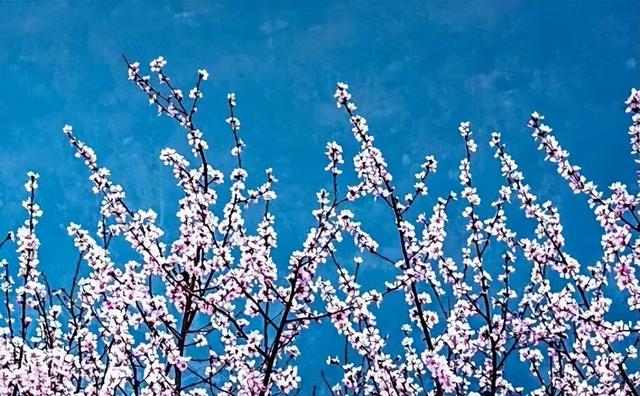 河南这些景区，向所有女士免门票