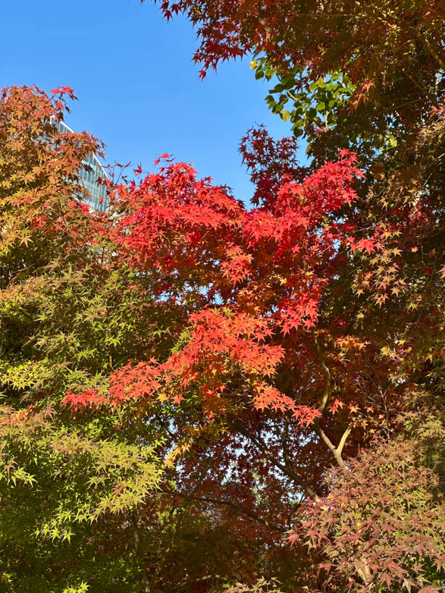 此刻的临沂，把清欢藏进风景里