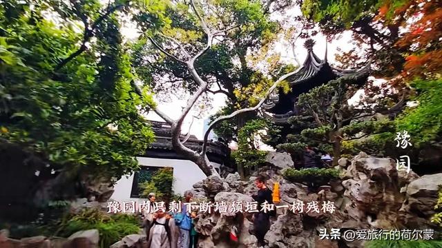 来看！上海市中心这个600年的园林，让你来一次不能忘！