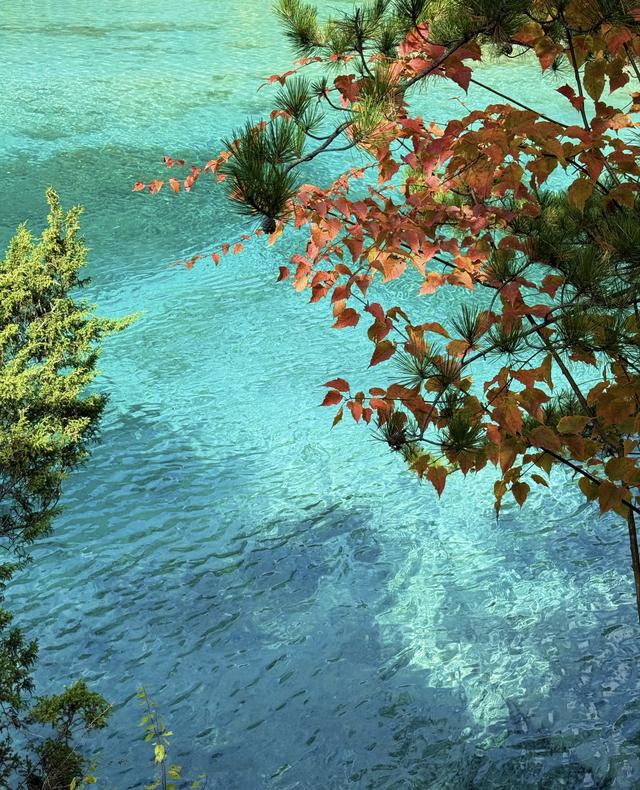 九寨沟的颜值巅峰：层林尽染、海子映彩