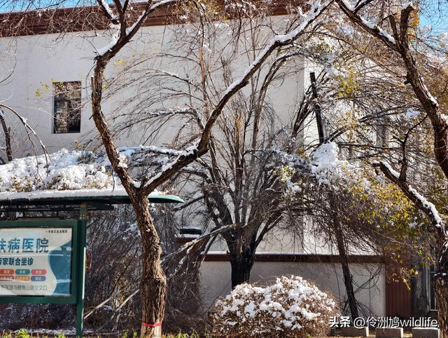 新疆乌鲁木齐红光山大佛寺