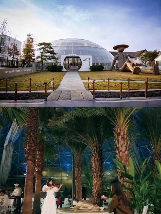 临沂，你真的好风光！！