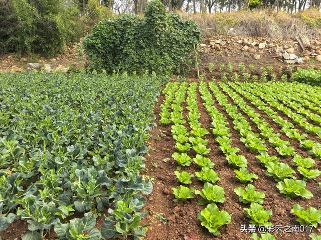 从呈贡大学城骑行到福保半岛，往返耗时6小时，骑行 60余公里