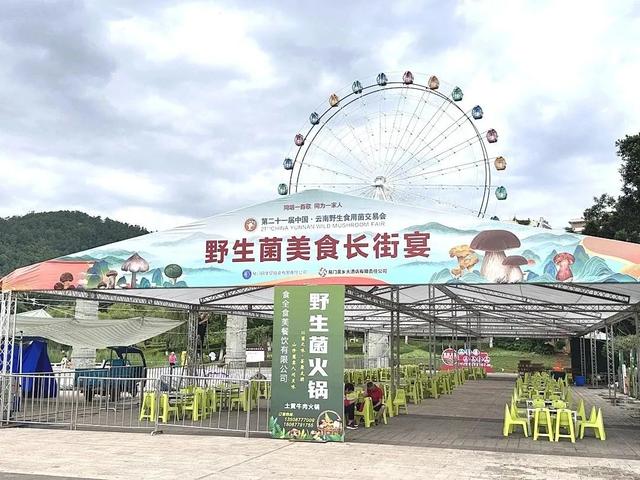 走，这个周末坐公交去易门吃菌啰~