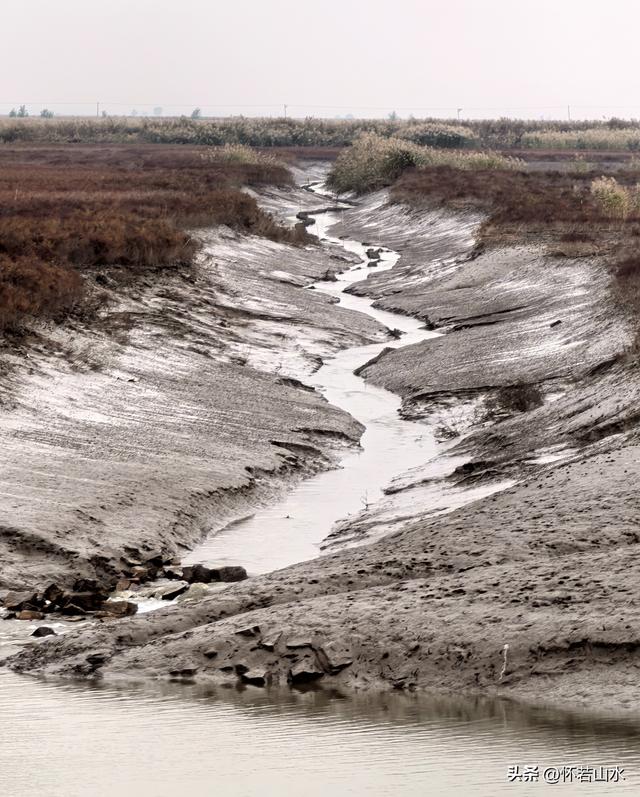 2025辽宁赏秋之旅日记(6)——到辽河口中国最北海岸线看日出 观鸟