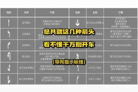 总共就这几种箭头，看不懂千万别开车图片