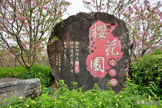 【跟着旅徒游广西】之四十：南宁｜青秀山公园