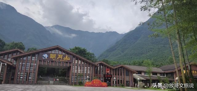 春分就想找个有花有茶的地方？雅安，一趟把春天喝进肚子里！