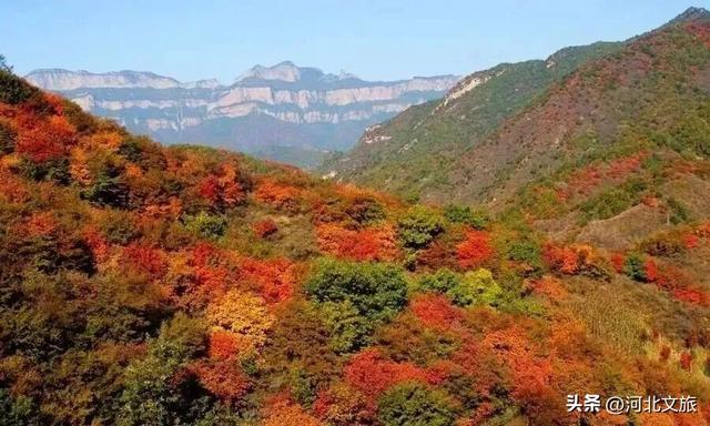 秋游河北悦山河 | 赏漫山红叶，看云卷云舒！这才是金秋嶂石岩的正确打开方式