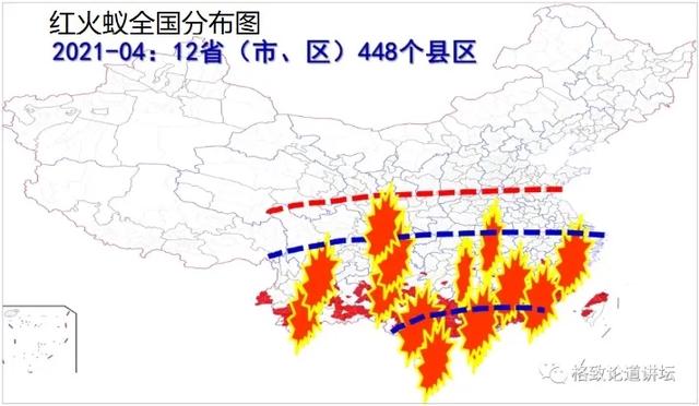 80%以上的村民都被咬，围攻广东村庄的这个入侵物种究竟什么来头