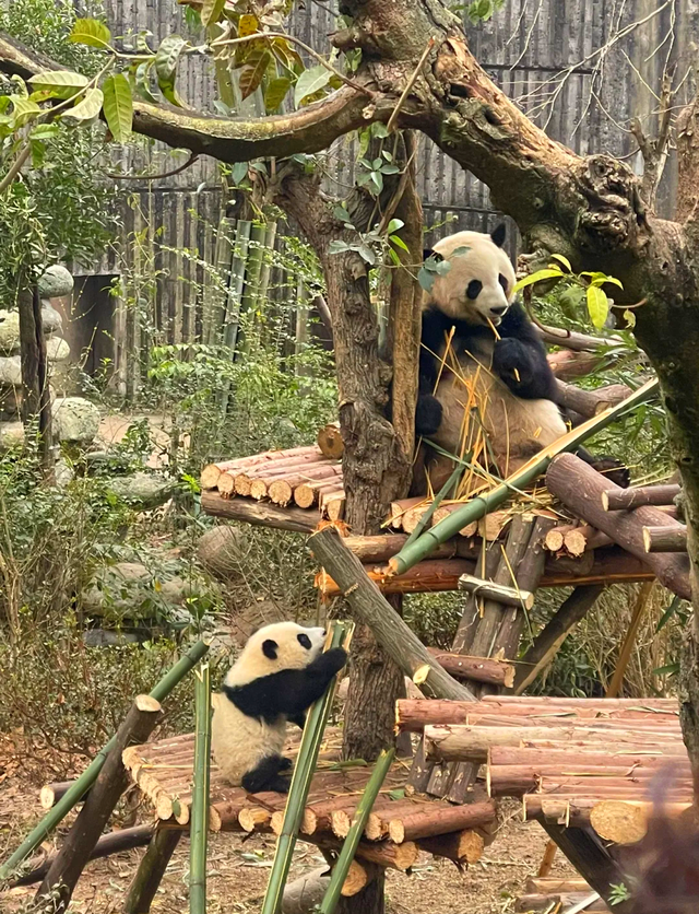 国庆热门旅游景点排行，告诉你如何在热门景点避开人群