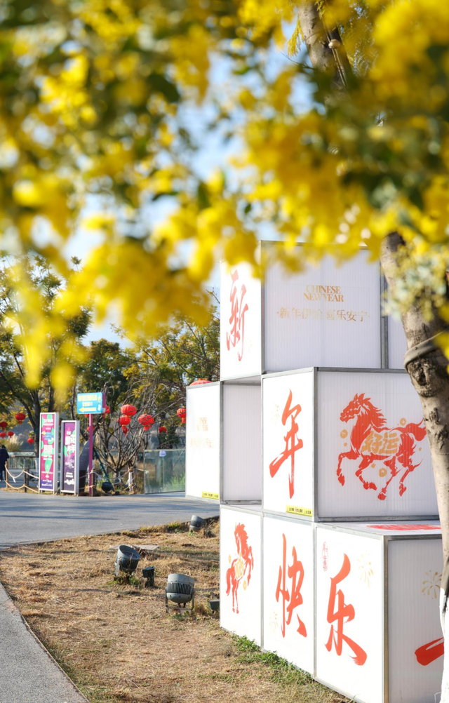 快看→西昌的满树金黄云！