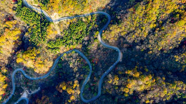 山道弯弯秋色浓