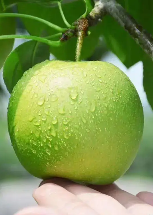 家门口除了看比赛，还能……