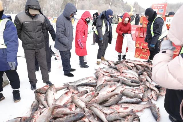 净月，长春冰雪第一站丨鱼跃冰湖 雁舞净月——首届“潭鱼飞雁”冬捕渔猎系列文化活动启幕