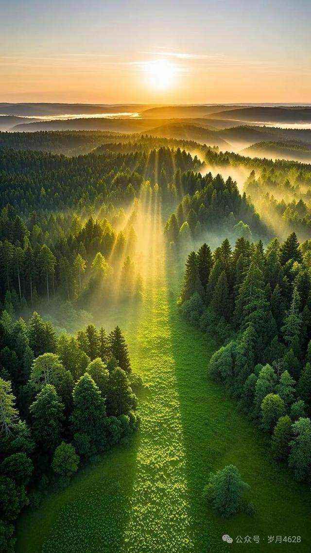 缁胯壊鎶ょ溂澹佺焊缇庡浘