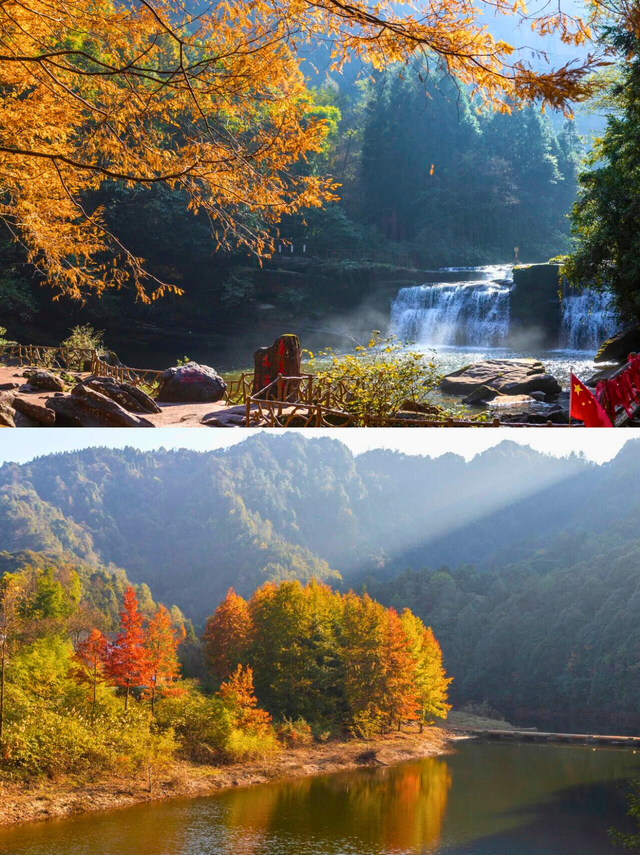 去四面山吧，别浪费重庆转瞬即逝的秋天！🍂