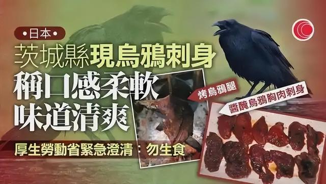 日本骂中国吃乌鸦！结果反被扒食鸦历史，还拿乌鸦做成刺身