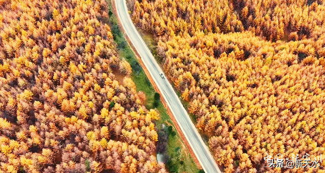 秋韵未歇：张家川山水的立冬回眸