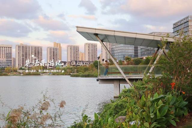 宁波镇海又发现一处粉黛园，临湖而居景色更秀丽，周边美景更多