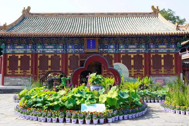 逛西城，到北海公园来个20分钟“精神快充”——