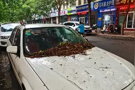 不管真“僵尸车” 还是伪“僵尸车” 交警：都不能长期霸占公共停车位图片