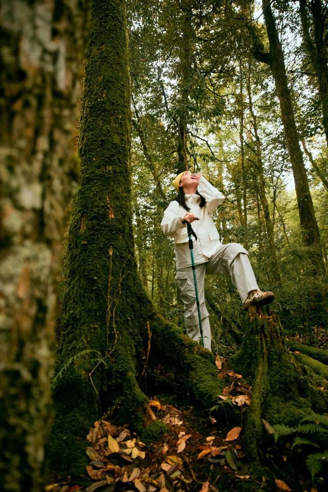 秋假第一站，就定这里！这片绝美彩林人少景美，速来赏秋！