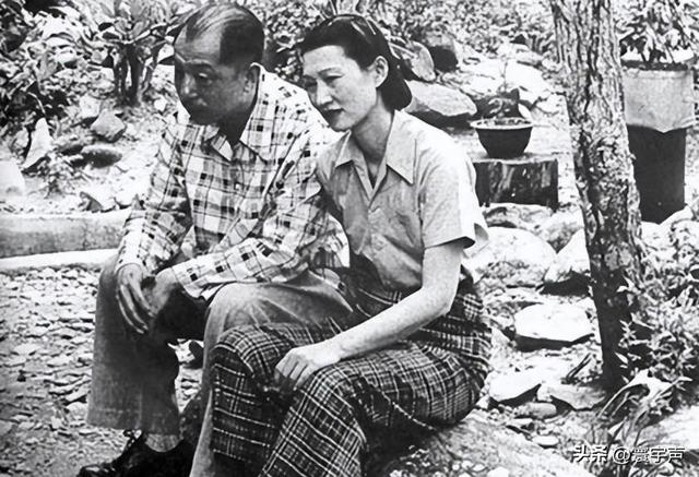 张学良老婆赵一荻有多美？身材丰腴眉清目秀，难怪少帅痴迷不已