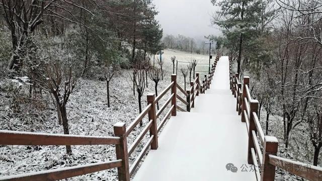 汉中各大景区银装素裹!快来共赴2025年第一场冰雪之约 →