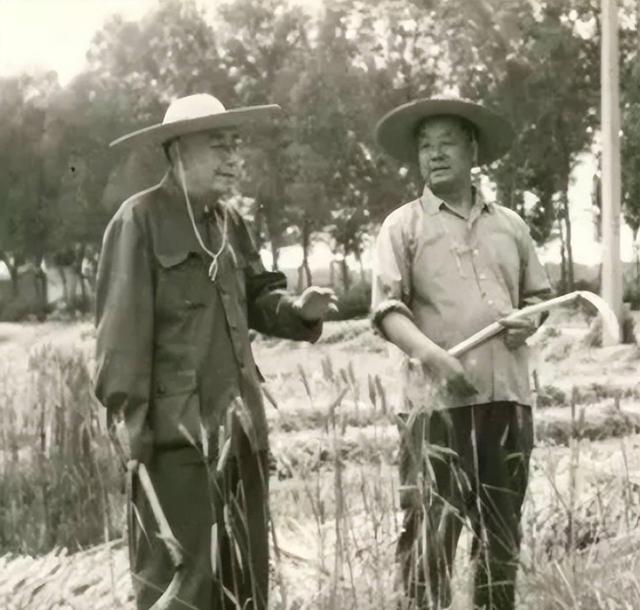 66年，宋任穷通知吴德来北京工作，吴德却说：能不能不去？