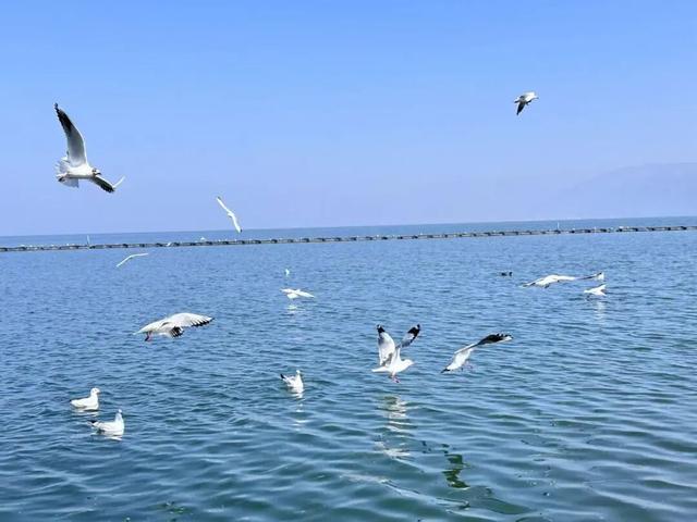 成都出发，超适合穷游的7大城市！