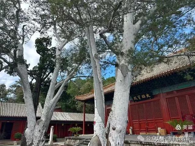 走进北京神秘寺院，一睹与敦煌莫高窟、山西永乐宫齐名法海寺壁画