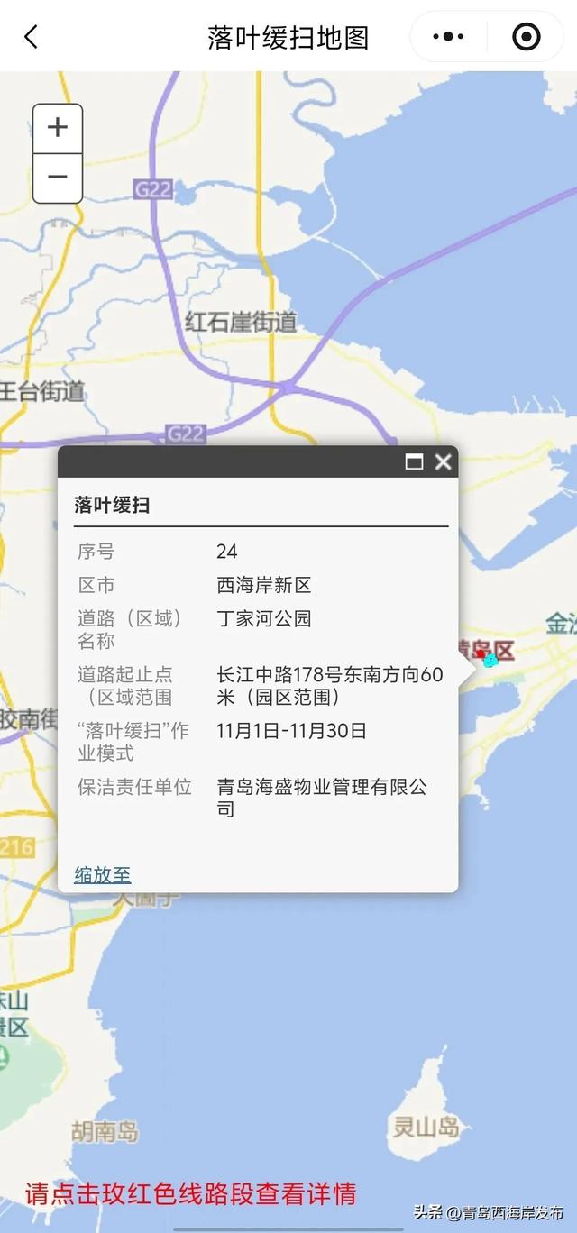 “暂停”秋天,西海岸这8条道路落叶缓扫!