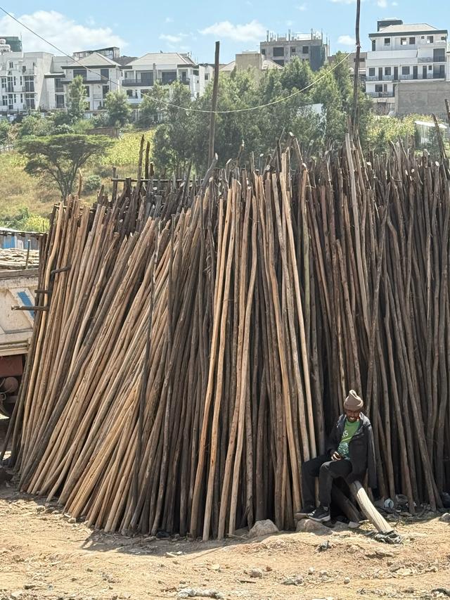 【联合国特别大师】人类祖先露西与世界选美