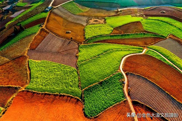 春日爆款!花季限定·2月8日/3月8日出发【花开滇境·七彩云南】8日