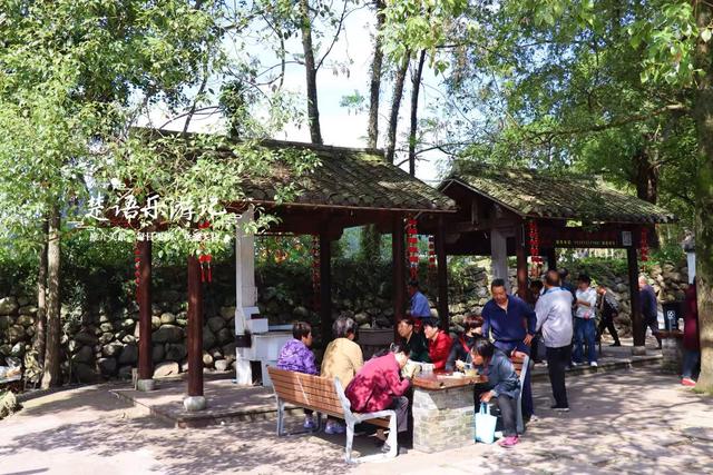 最新快报来了！浙江宁波最负盛名的长寿村变了，推出几十处新风景