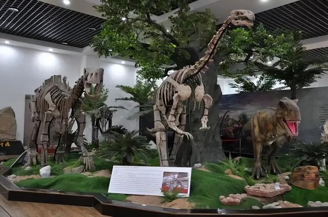 从一碗牛肉面开始，解锁初冬金昌的一日漫游