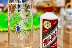 茅台，崩了图片