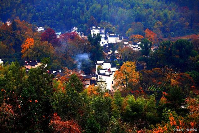 说起红叶就知道栖霞山和天平山？江南赏秋花样不要太多