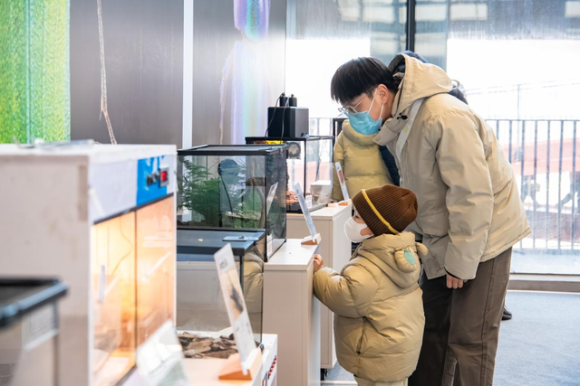 拱墅这个元旦，到底有多好逛