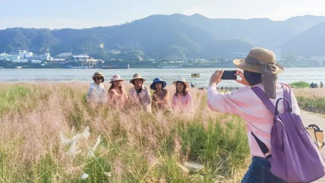 被端州这片花海圈「粉」了