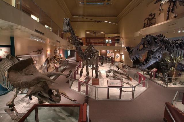 恐龙中的“达·芬奇”：从骨头到银幕，霸王龙如何成为永恒的王者