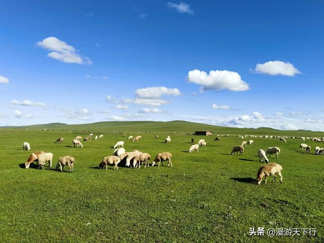 呼伦贝尔，草原天路没有尽头，寻找心目中更美的那条草原天路