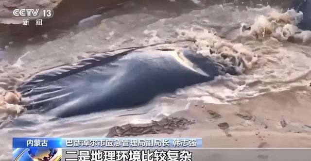 13人露营致10死，五个家庭天塌了，野景点自己去的，羊倌曾提醒过