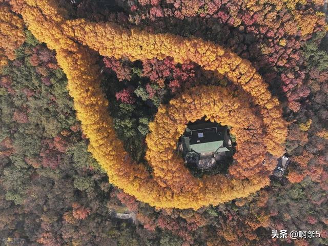 江苏南京，钟山风景区，大家展开想象，这个像什么？