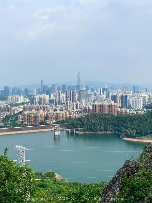 深圳徒步！超适合新手小白的3条郊野径路线，地铁公交直达还免费