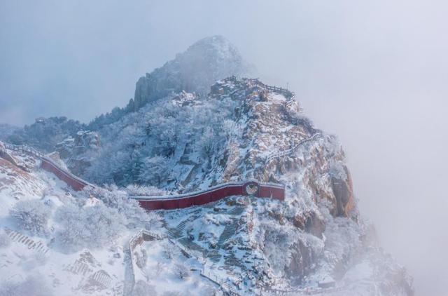 雪后初霁 泰山云海雾凇相映成趣
