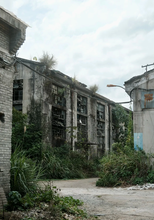 浙江大山里，竟藏一座废弃的“小香港”，如今人去楼空！